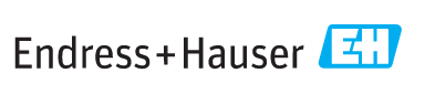 endress-hauser-viet-nam.png